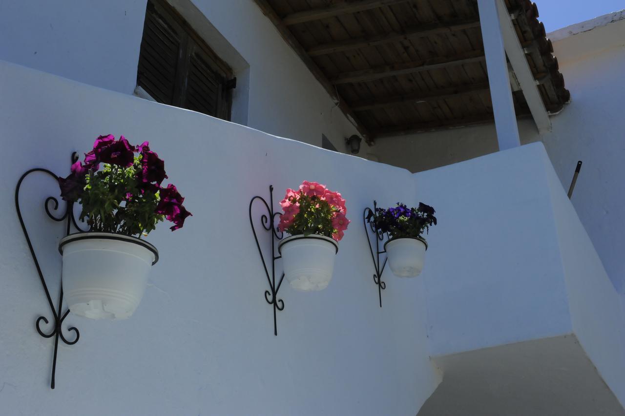 Apartment Camelia Skiathos-Stadt