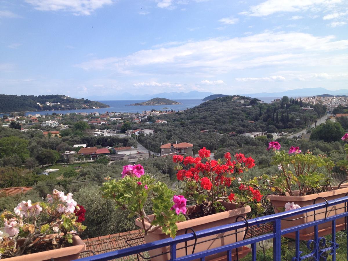 Camelia Apartment