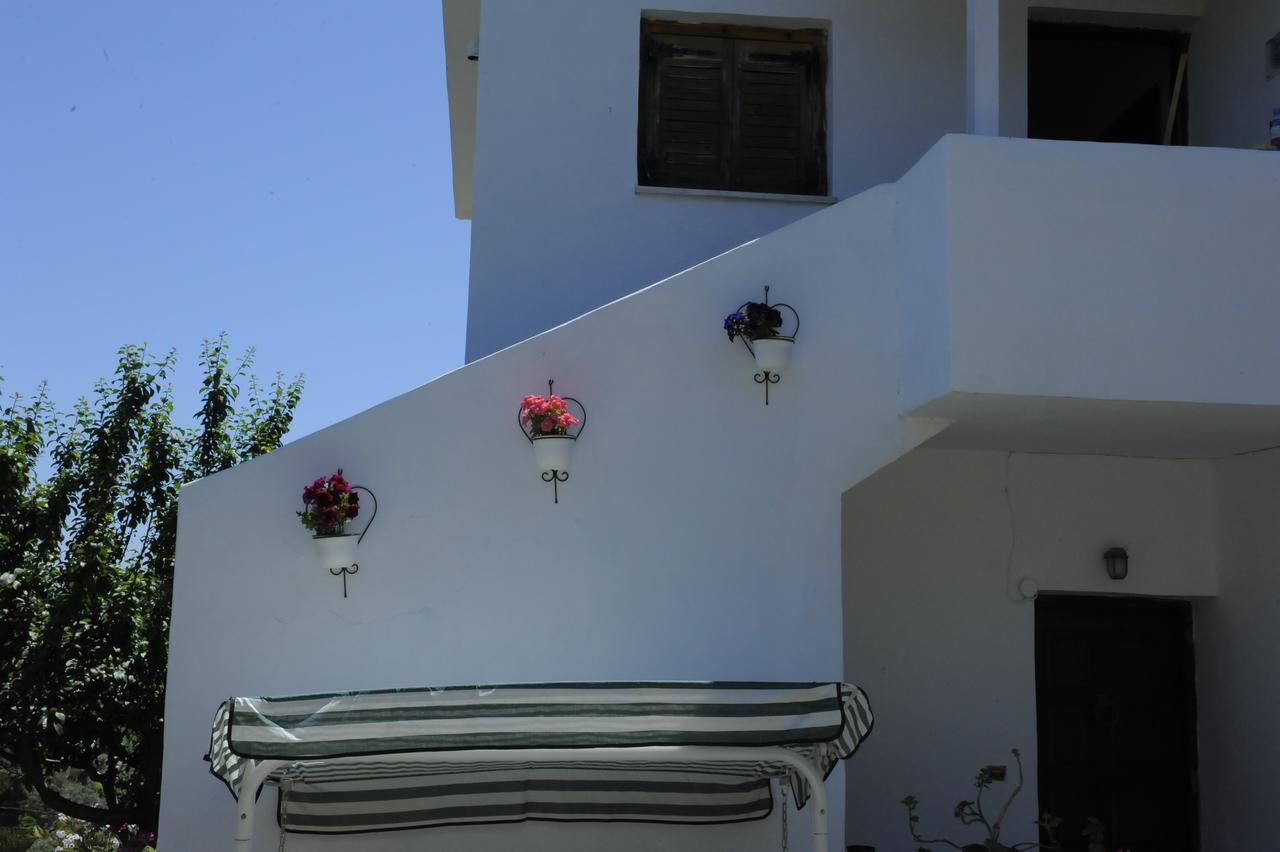 Apartment Camelia Skiathos-Stadt