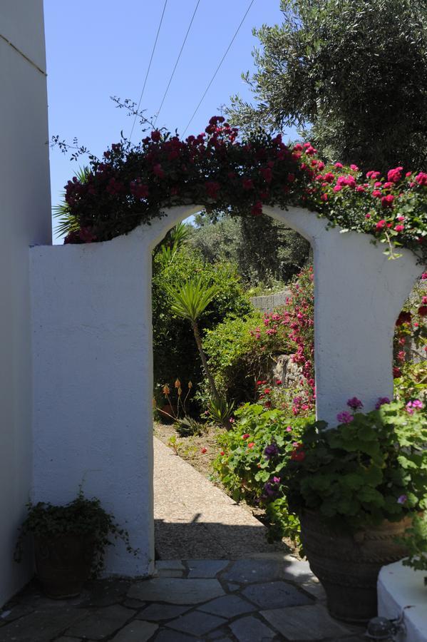 Apartment Camelia Skiathos-Stadt