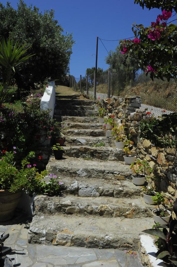 Apartment Camelia Skiathos-Stadt