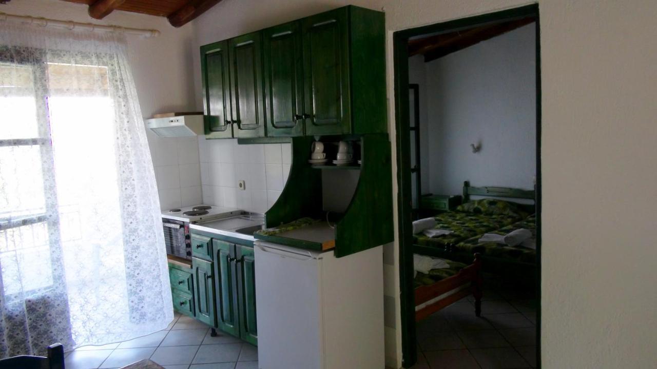 Camelia Apartment