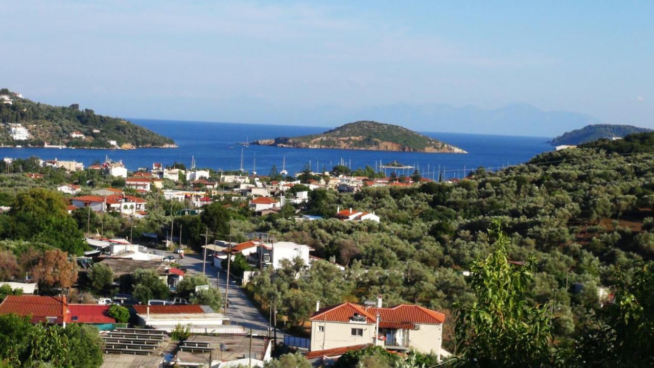 Camelia Apartment Skiathos-Stadt