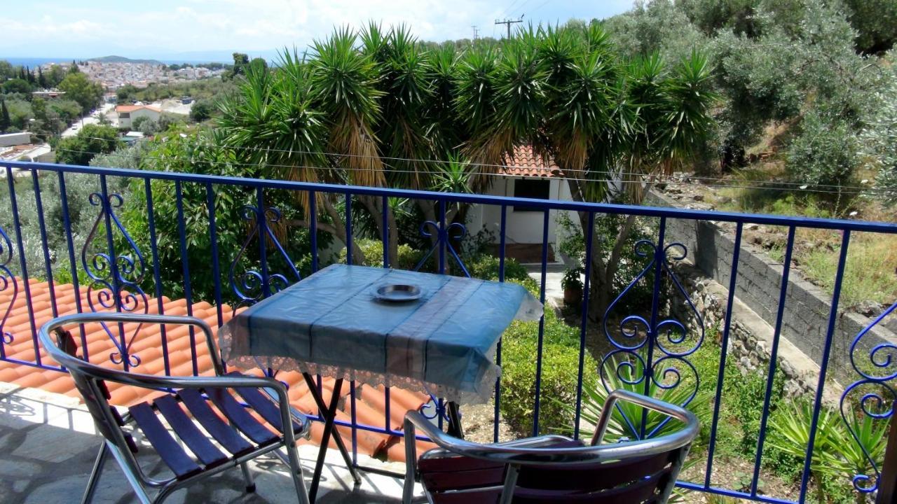 Camelia Città di Skiathos